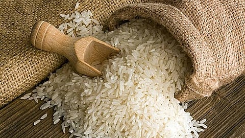 Image of basmati rice used for representation only.