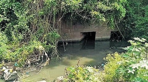 Untreated sewage from Srirangapatna flowing into Cauvery at this point
