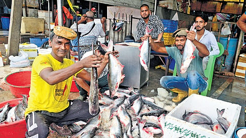 Vendor showcases fish to customers