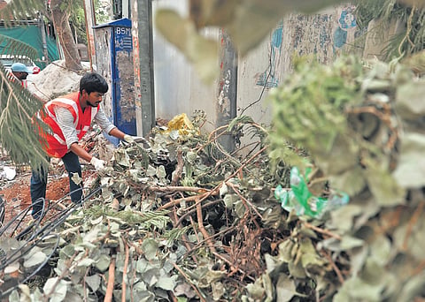 A GHMC worker clears the branches of a tree that were pruned and discarded by a road at Somajiguda in Hyderabad