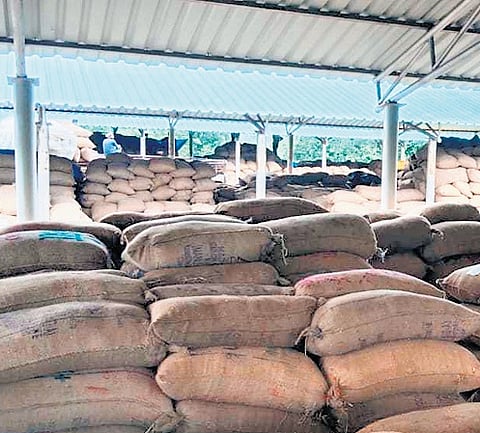 Paddy bags lying at a procurement centre in Bargarh district