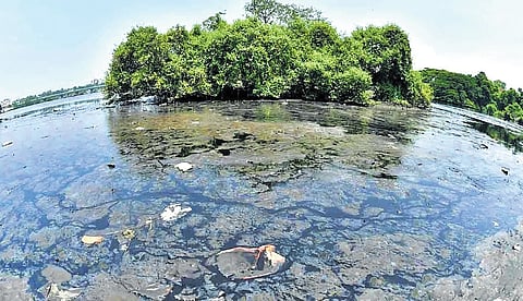 Asanikunta Lake has remained in the worst water quality category — Class E — for three consecutive months.