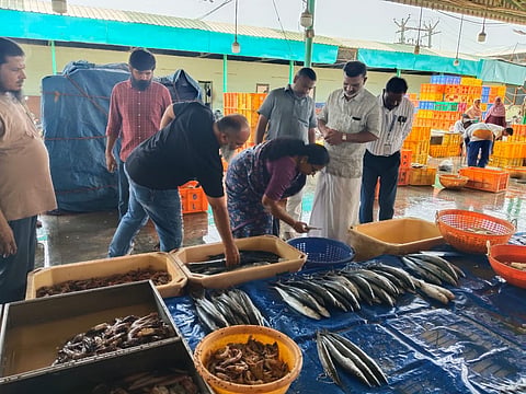 The food safety department has conducted a surprise checking at Ukkadam wholesale and retail fish market on Tuesday.