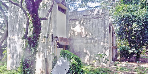 Cracked walls and broken doors and windows of the building of Ramanujan Institute for Advanced Study in Mathematics at Chepauk