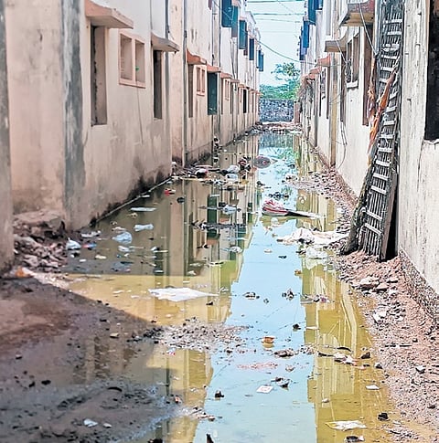 The sewage has seeped out and stagnated in the alley between the buildings