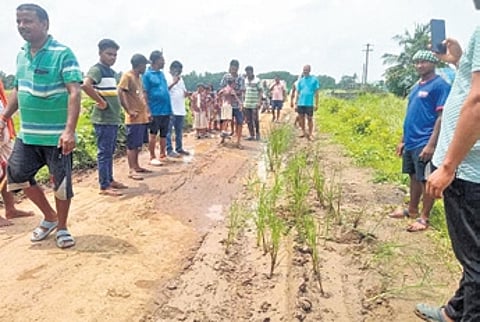 Their action was a protest against deplorable condition of the canal embankment road connecting Paikashai village under Nuadihi panchyat of Erasama block under the Rural Development department.