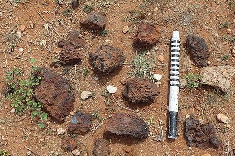 Nine distinct grinding grooves carved into granite rock, microlithic stone tools on the surface, and associated Iron Age cultural traces including clusters of iron ore slag were found at Kollan Paarai in Nagamanaickenpatti village, Vellakoil taluk, Tiruppur district.