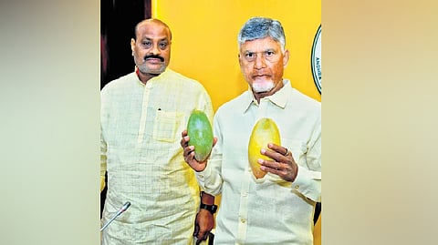 The cost-sharing model, split 50:50 between the Centre and the State, includes direct benefit transfer (DBT) to farmers to mitigate price falls.