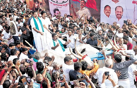 AIADMK general secretary Edappadi K Palaniswami is taking part in a campaign held recently at Tiruvarur