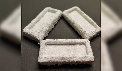 The technology will provide a solution to dispose of agricultural residues from open burning and a compostable packaging option.
