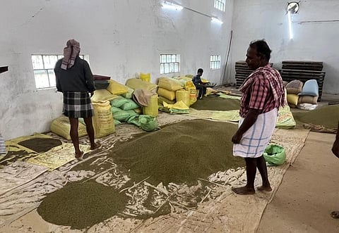 The blackgram and greengram brought by farmers to a regulated market in Eluru district.
