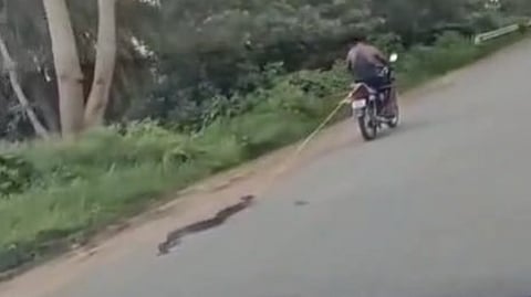 The incident sparked outrage on social media.
