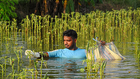 The floods last month caused extensive losses across several districts.