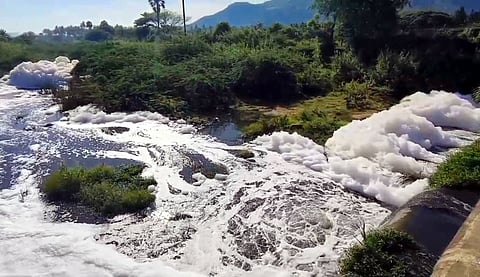 Palar river