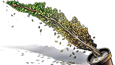 Express illustrations