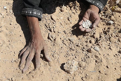 A Palestinian woman searches the sand for legumes in Nuseirat in the central Gaza Strip during an airdrop mission above the Israel-besieged Palestinian territory on August 5, 2025.
