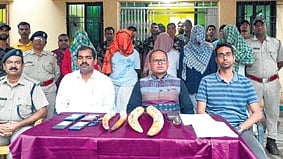 The team carried out raid on the house of one Gangadhara Patra in Balibeda village under Banspal beat in Suakati section on Friday morning and seized four elephant tusks from the possession of five persons.