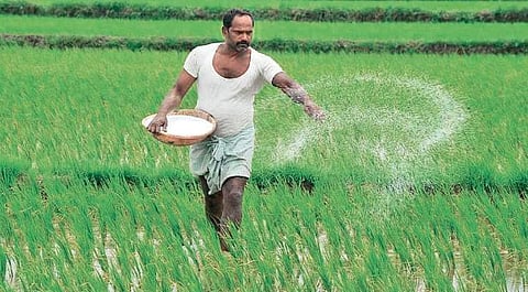 Image used for representational purposes.