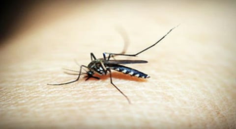 Health workers deployed in these districts said the insecticide effect in LLINs lasts up to three years or 20 washes, and the nets distributed before 2019 were to be replaced by 2022.