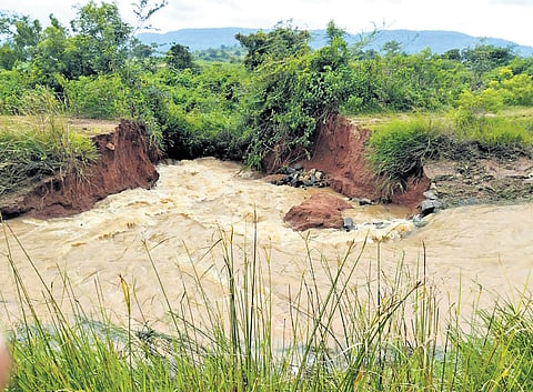 The Vattivagu project right canal breached in near kommuguda village in Asifabad mandal in kumrambheem Asifabad district.