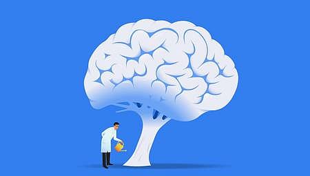 The report highlighted that low-income countries have more than 80 times fewer neurologists compared to high-income nations, despite bearing a high disease burden.