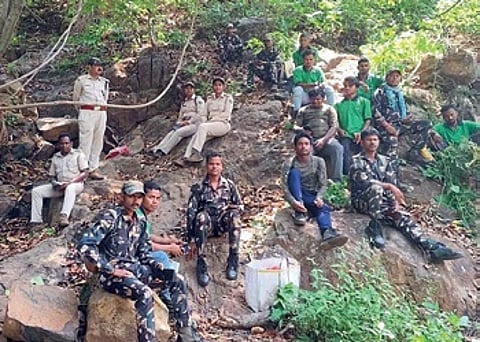 At the divisional level, forest guards and foresters must complete a minimum of 75 km of patrolling, while range officers are required to cover 50 km.