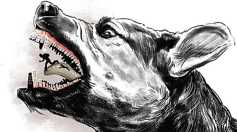 Image used for representation purposes only.