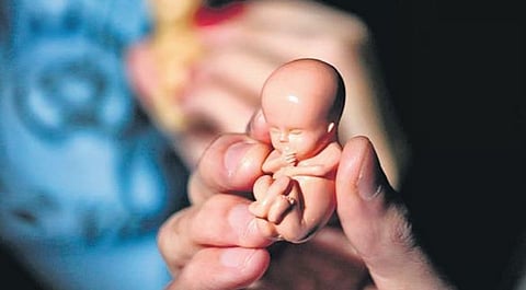 The girl’s parents allegedly forced her to undergo an abortion that was arranged through a relative in Pannur, Andhra Pradesh, where Violet is alleged to have given her tablets for a medical termination at the Raja Clinic.