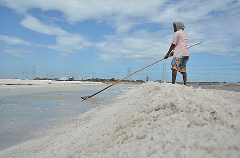 A salt pan worker toils under the sun as he rakes crystallised salt for collection at Mullakadu in Thoothukudi.