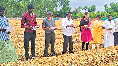 Tobacco Board Ongole-2 Auction platform authorities inspected Tobacco seed-bed fields in Kesinenivari palem village limits