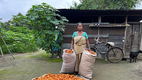 Farmers are provided with training by the department and taken on exposure trips to places, doing well in sericulture sector.