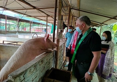 According to officials, BTR consumes over 25,000 metric tonnes of pork annually, but local production accounts for less than 40 per cent of the demand.