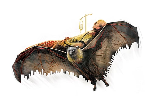 With no conclusive understanding yet of how the virus makes the leap from bats to humans, this surveillance aims to identify possible intermediate animal hosts.