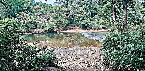 The project site for pumped storage inside the LTM sanctuary