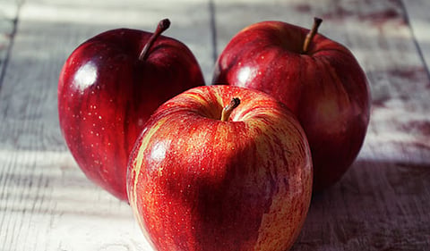 Continuous rainfall triggered the outbreak of a fungal disease, which has led to premature leaf and apple drop in orchards across the state.
