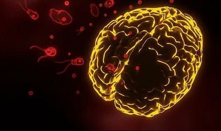 The state had reported 201 confirmed cases of the brain infection and 47 deaths in 2025.