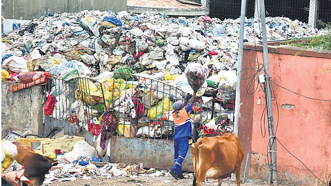 A contract sanitary worker throwing garbage inside the closed compound which is already filled with mounds of waste in Chinna Mathur, Manali, on Sunday