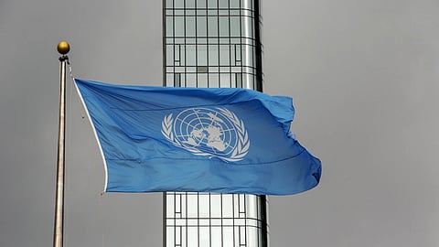 In its report titled "Nature’s Comeback – Scaling Ecosystem Restoration for People and Planet," UNEP included the dolphin recovery program as one of 35 UN World Restoration Flagships, showcasing large-scale restoration efforts.