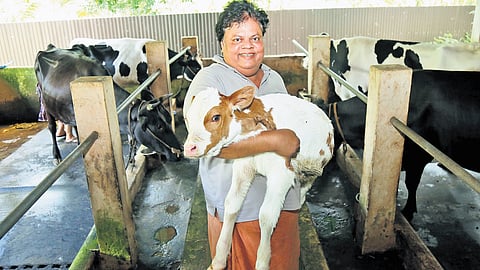 Actor Anoop Chandran tending to his cows in his farm at Areeparambu near Cherthala