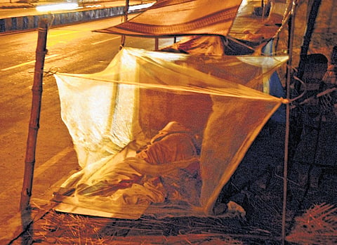 The report follows a survey of 212 individuals and 256 families living in streets in 18 locations in the Chennai.
