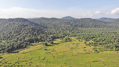 The Forest department, as part of its village relocation programme, has already relocated 78 families from Raigoda, 121 from Katrang, 262 from Tulka, 88 from Asanbahal and 125 from Bhrukundi between 2017 and 2023.