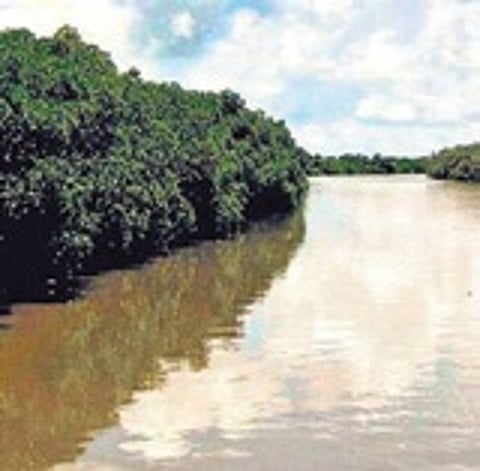 Before Bhitarkanika, the Tourism department had prepared an integrated master plan for Satkosia Tiger Reserve under Special Assistance to States for Capital Investment (SASCI) scheme.