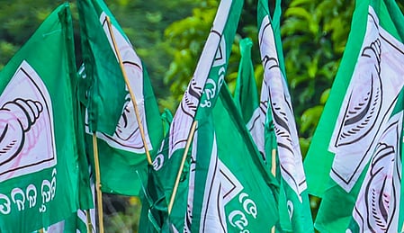 BJD flag.