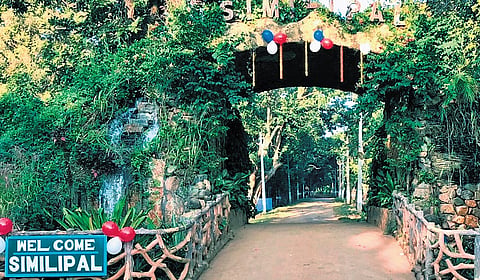 Similipal National Park.
