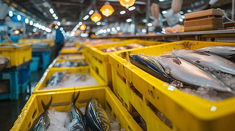While there was a 4.65 per cent decline in exports to the USA, exports to Vietnam rose by 105 per cent.