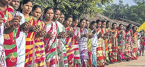 Protect forest dwellers from eviction, states told