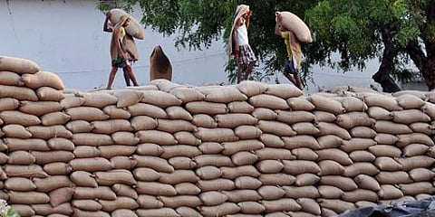 The "Oilseeds Kisaan Mitra" is a WhatsApp-based service developed by the ICAR-Indian Institute of Oilseeds Research in Hyderabad.