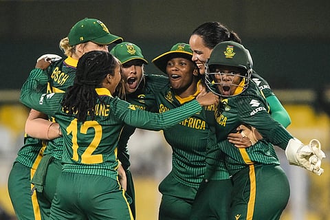 South Africa have had a dream run to the World Cup final