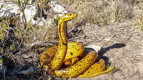 Image used for representative purpose.