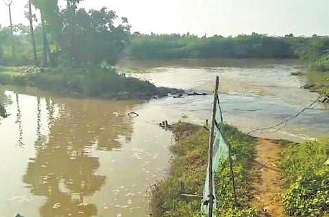 With the very heavy rainfall, flood waters washed away prawn culture ponds in Kothapatnam and Jarugumalli mandals of Prakasam district.